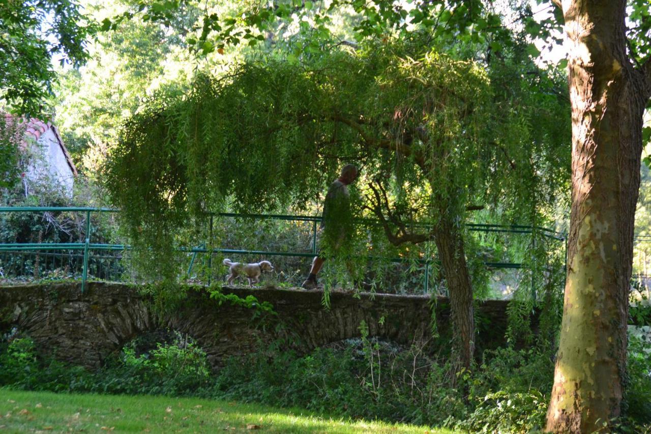 Le Moulin Neuf Villa Beaupréau-en-Mauges Kültér fotó